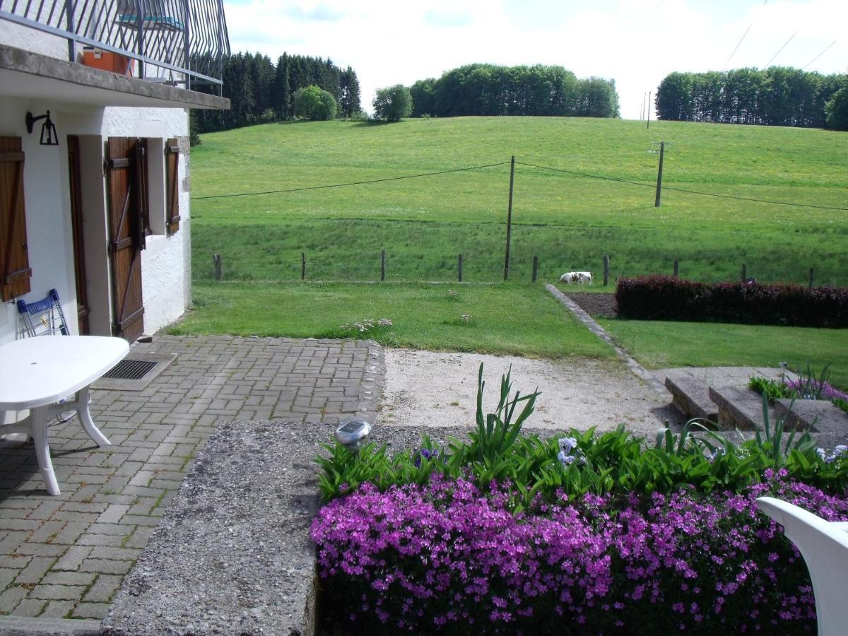 Gite Les Hirondelles Plombières-les-Bains Esterno foto