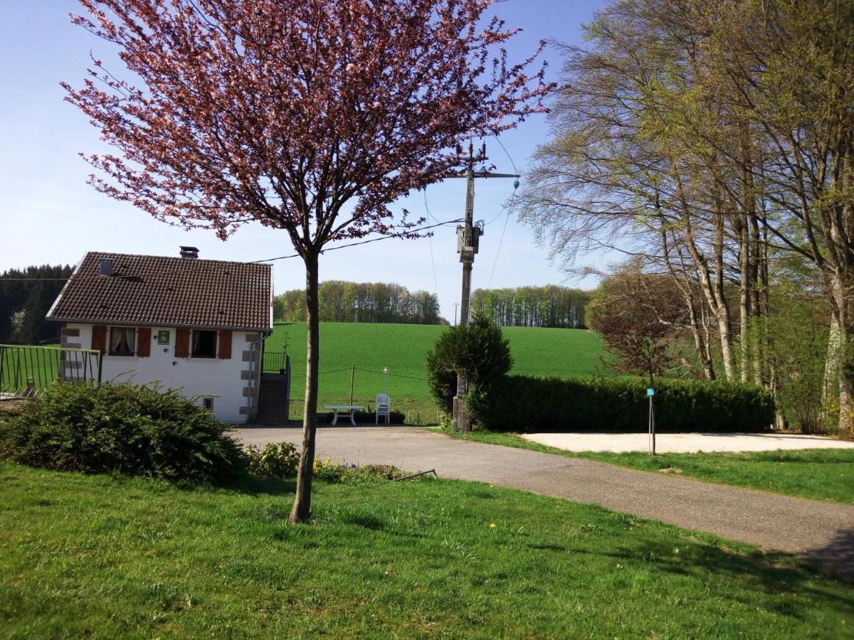 Gite Les Hirondelles Plombières-les-Bains Esterno foto