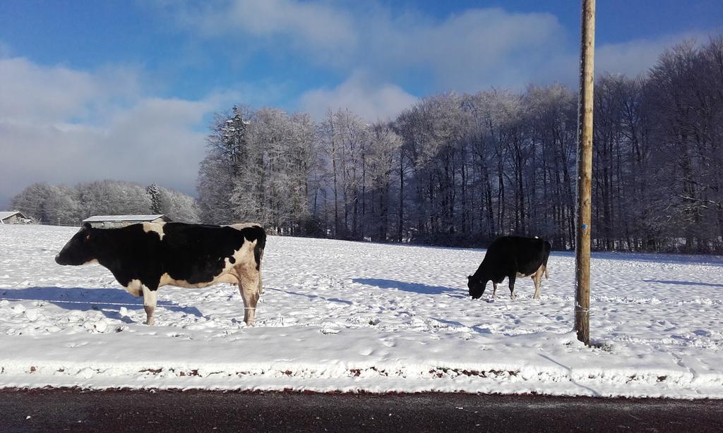 Gite Les Hirondelles Plombières-les-Bains Esterno foto