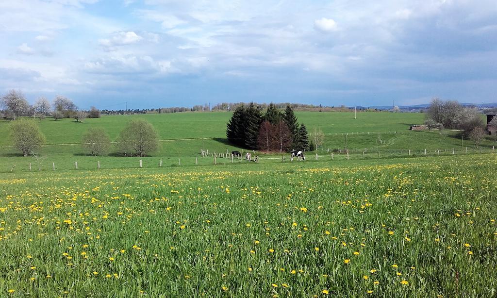 Gite Les Hirondelles Plombières-les-Bains Esterno foto