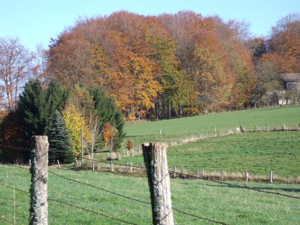 Gite Les Hirondelles Plombières-les-Bains Esterno foto