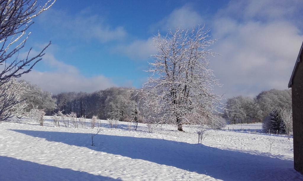 Gite Les Hirondelles Plombières-les-Bains Esterno foto