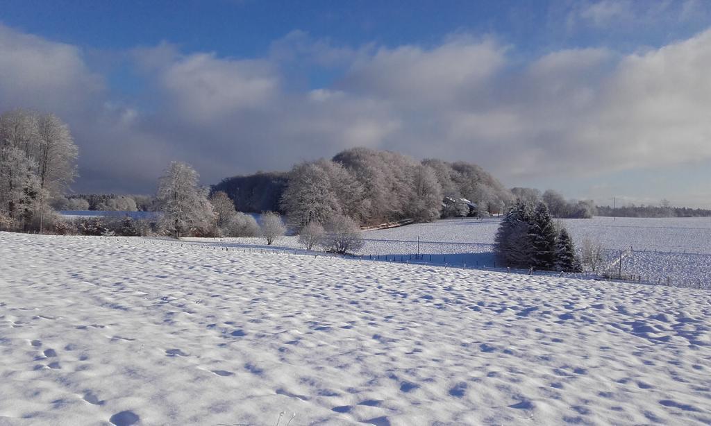 Gite Les Hirondelles Plombières-les-Bains Esterno foto