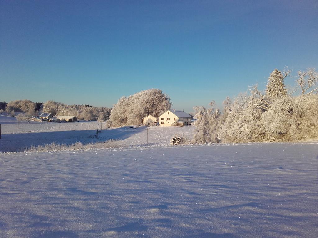 Gite Les Hirondelles Plombières-les-Bains Esterno foto